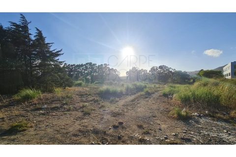 Terra a Sintra, Lisbon, Sintra - € 4.215.000 | Ref: SÒL_4269 - foto 45