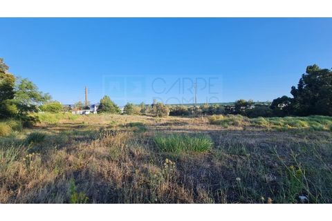 Terra a Sintra, Lisbon, Sintra - € 4.215.000 | Ref: SÒL_4269 - foto 46