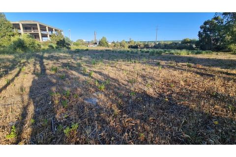 Terra a Sintra, Lisbon, Sintra - € 4.215.000 | Ref: SÒL_4269 - foto 48