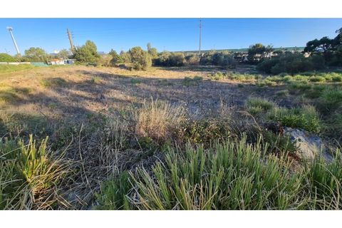 Terra a Sintra, Lisbon, Sintra - € 4.215.000 | Ref: SÒL_4269 - foto 50
