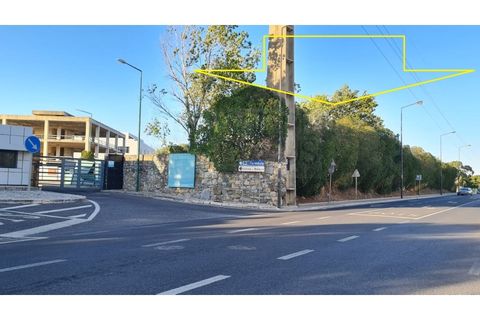 Terra a Sintra, Lisbon, Sintra - € 1.676.000 | Ref: Lt313 - foto 3