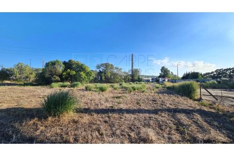 Terra a Sintra, Lisbon, Sintra - € 1.676.000 | Ref: Lt313 - foto 5