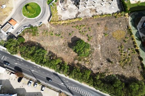 Terra a Sintra, Lisbon, Sintra - € 1.676.000 | Ref: Lt313 - foto 7