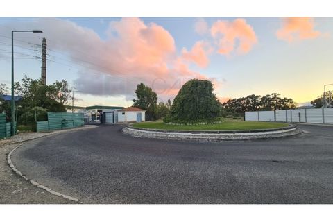 Terra a Sintra, Lisbon, Sintra - € 1.676.000 | Ref: Lt313 - foto 9