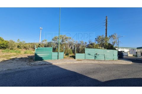 Terra a Sintra, Lisbon, Sintra - € 1.676.000 | Ref: Lt313 - foto 13