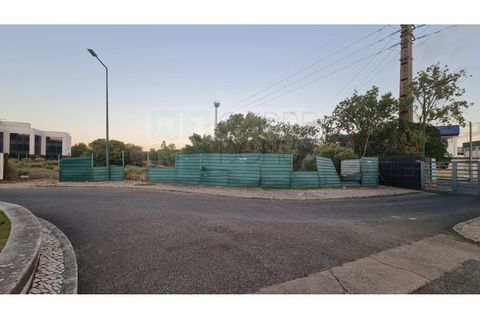 Terra a Sintra, Lisbon, Sintra - € 1.676.000 | Ref: Lt313 - foto 14