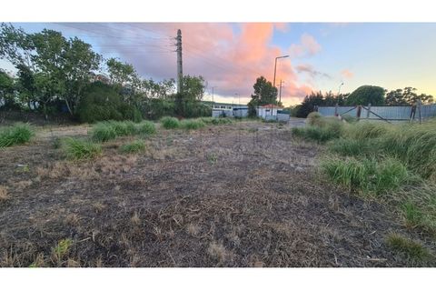 Terra a Sintra, Lisbon, Sintra - € 1.676.000 | Ref: Lt313 - foto 15