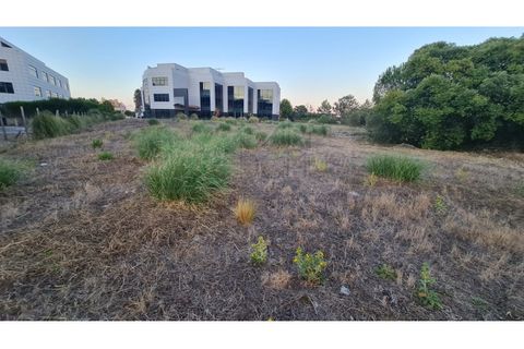 Terra a Sintra, Lisbon, Sintra - € 1.676.000 | Ref: Lt313 - foto 16