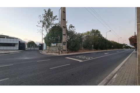 Terra a Sintra, Lisbon, Sintra - € 1.676.000 | Ref: Lt313 - foto 17