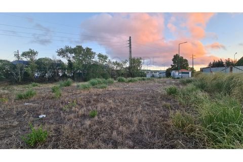Terra a Sintra, Lisbon, Sintra - € 1.676.000 | Ref: Lt313 - foto 18
