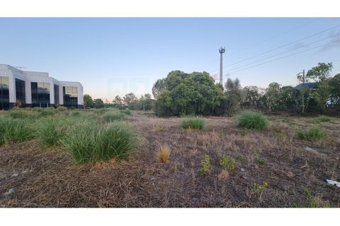 Terra a Sintra, Lisbon, Sintra - € 1.676.000 | Ref: Lt313 - foto 19