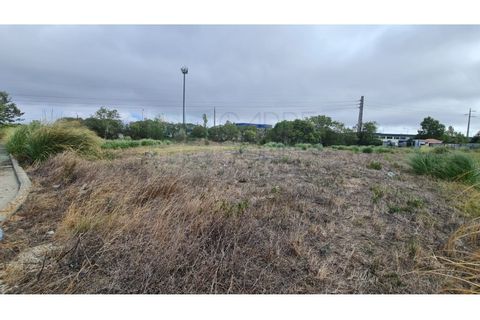 Terra a Sintra, Lisbon, Sintra - € 1.676.000 | Ref: Lt313 - foto 28