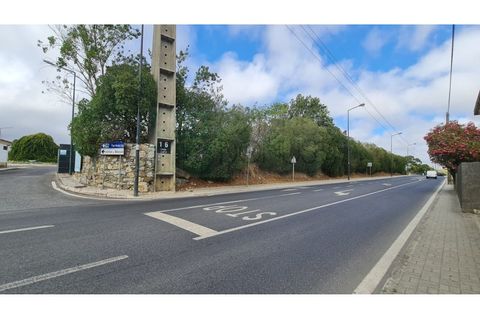 Terra a Sintra, Lisbon, Sintra - € 1.676.000 | Ref: Lt313 - foto 30