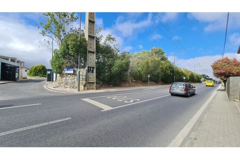 Terra a Sintra, Lisbon, Sintra - € 1.676.000 | Ref: Lt313 - foto 33