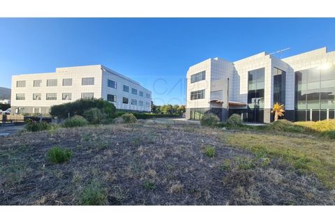 Terra a Sintra, Lisbon, Sintra - € 1.676.000 | Ref: Lt313 - foto 35