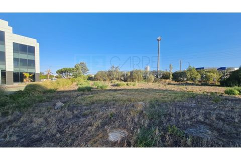 Terra a Sintra, Lisbon, Sintra - € 1.676.000 | Ref: Lt313 - foto 36