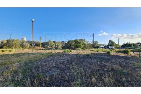 Terra a Sintra, Lisbon, Sintra - € 1.676.000 | Ref: Lt313 - foto 39