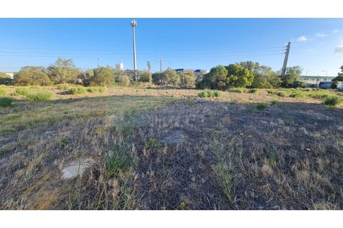 Terra a Sintra, Lisbon, Sintra - € 1.676.000 | Ref: Lt313 - foto 40