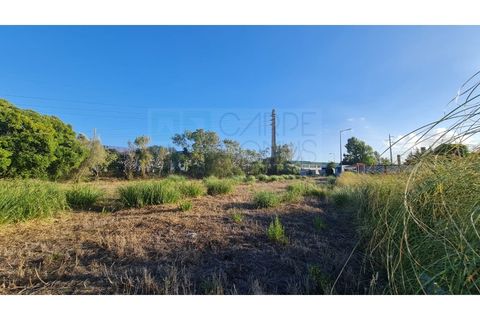 Terra a Sintra, Lisbon, Sintra - € 1.676.000 | Ref: Lt313 - foto 43