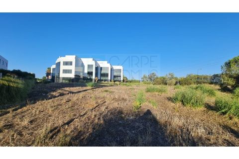 Terra a Sintra, Lisbon, Sintra - € 1.676.000 | Ref: Lt313 - foto 44