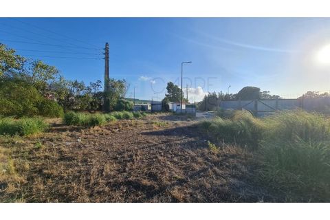 Terra a Sintra, Lisbon, Sintra - € 1.676.000 | Ref: Lt313 - foto 45