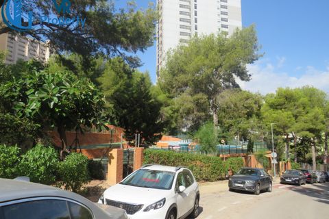 Leilighet i Benidorm, Alicante, Benidorm - € 170 000 | Ref: benidorm - foto 37
