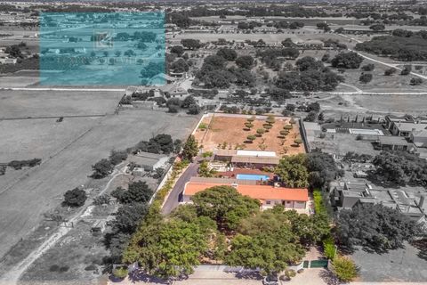 Farm i Palmela, Setubal, Palmela - € 1.200.000 | Ref: MAS_359 - foto 7