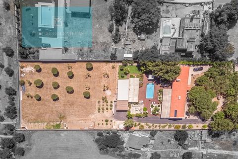 Farm i Palmela, Setubal, Palmela - € 1.200.000 | Ref: MAS_359 - foto 8
