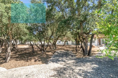 Farm i Palmela, Setubal, Palmela - € 1.200.000 | Ref: MAS_359 - foto 13