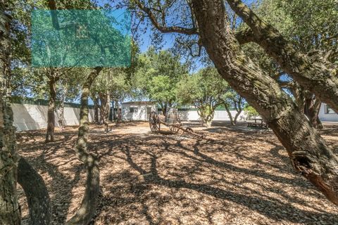 Farm i Palmela, Setubal, Palmela - € 1.200.000 | Ref: MAS_359 - foto 14