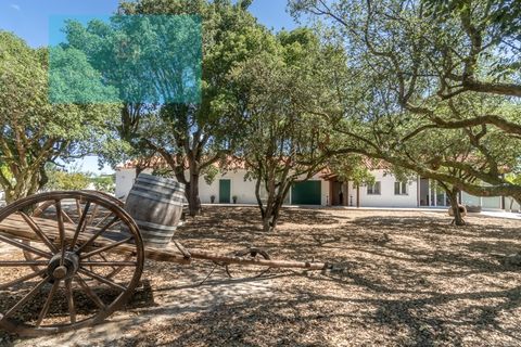 Farm i Palmela, Setubal, Palmela - € 1.200.000 | Ref: MAS_359 - foto 15