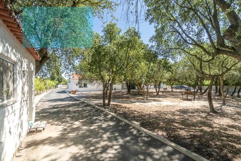 Farm i Palmela, Setubal, Palmela - € 1.200.000 | Ref: MAS_359 - foto 16