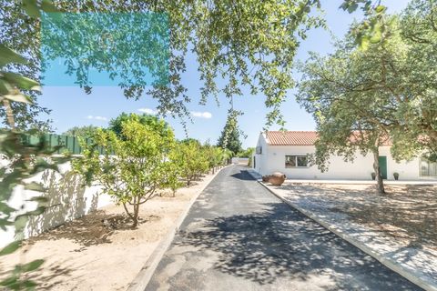 Farm i Palmela, Setubal, Palmela - € 1.200.000 | Ref: MAS_359 - foto 22