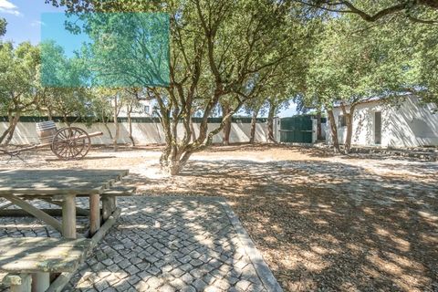 Farm i Palmela, Setubal, Palmela - € 1.200.000 | Ref: MAS_359 - foto 23