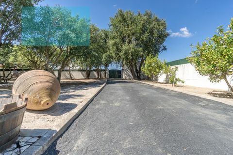 Farm i Palmela, Setubal, Palmela - € 1.200.000 | Ref: MAS_359 - foto 25