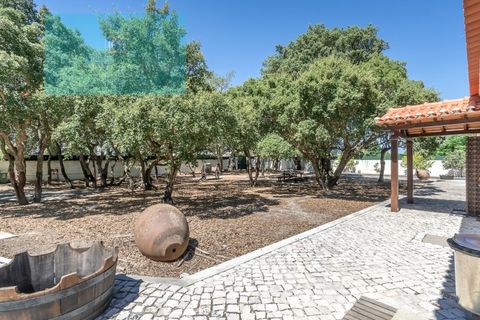 Farm i Palmela, Setubal, Palmela - € 1.200.000 | Ref: MAS_359 - foto 26