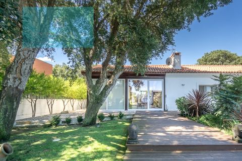 Farm i Palmela, Setubal, Palmela - € 1.200.000 | Ref: MAS_359 - foto 38