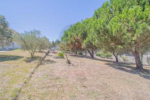 Villa i Santo Onofre e Serra do Bouro, Leiria, Santo Onofre e Serra do Bouro - € 695.000 | Ref: TOP2531 - foto 5