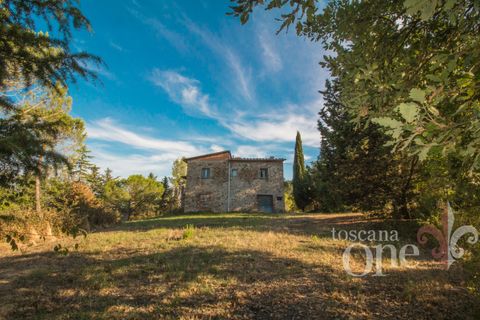Villa a Lajatico, Pisa, Lajatico - € 429.000 | Ref: 17455-1 - foto 2