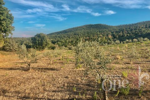 Villa a Lajatico, Pisa, Lajatico - € 429.000 | Ref: 17455-1 - foto 3