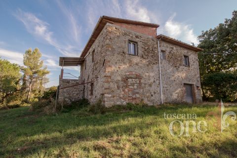 Villa a Lajatico, Pisa, Lajatico - € 429.000 | Ref: 17455-1 - foto 8