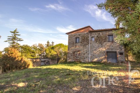 Villa a Lajatico, Pisa, Lajatico - € 429.000 | Ref: 17455-1 - foto 9