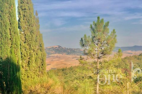 Villa a Lajatico, Pisa, Lajatico - € 429.000 | Ref: 17455-1 - foto 12