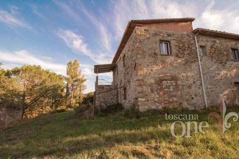 Villa a Lajatico, Pisa, Lajatico - € 429.000 | Ref: 17455-1 - foto 13