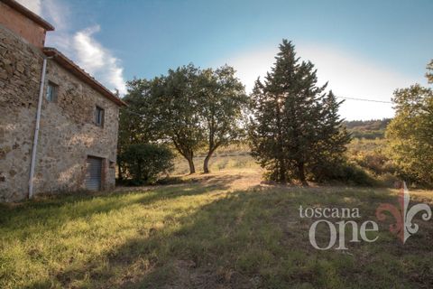 Villa a Lajatico, Pisa, Lajatico - € 429.000 | Ref: 17455-1 - foto 14