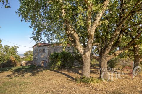 Villa a Lajatico, Pisa, Lajatico - € 429.000 | Ref: 17455-1 - foto 15