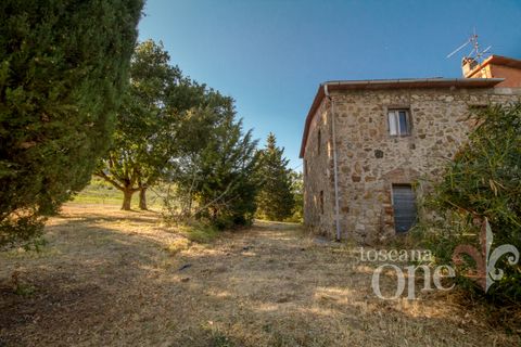 Villa a Lajatico, Pisa, Lajatico - € 429.000 | Ref: 17455-1 - foto 16