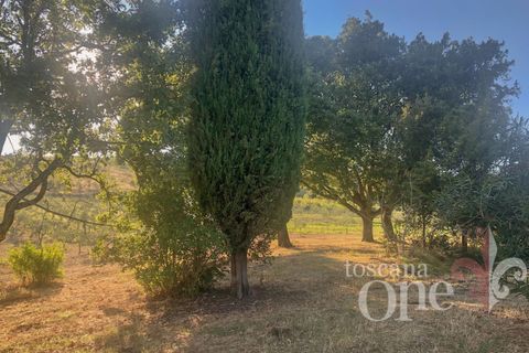 Villa a Lajatico, Pisa, Lajatico - € 429.000 | Ref: 17455-1 - foto 17