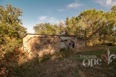 Villa a Lajatico, Pisa, Lajatico - € 429.000 | Ref: 17455-1 - foto 18