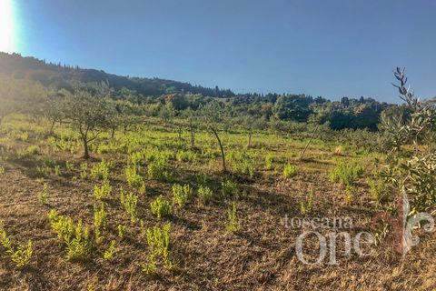 Villa a Lajatico, Pisa, Lajatico - € 429.000 | Ref: 17455-1 - foto 20